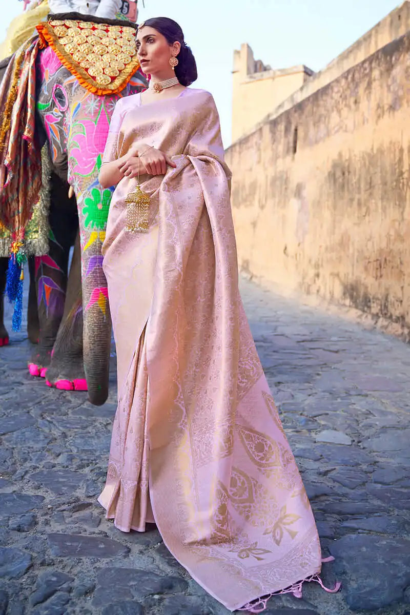 Woman in a pink saree standing next to an elephant with decorative trunk, against a stone wall.