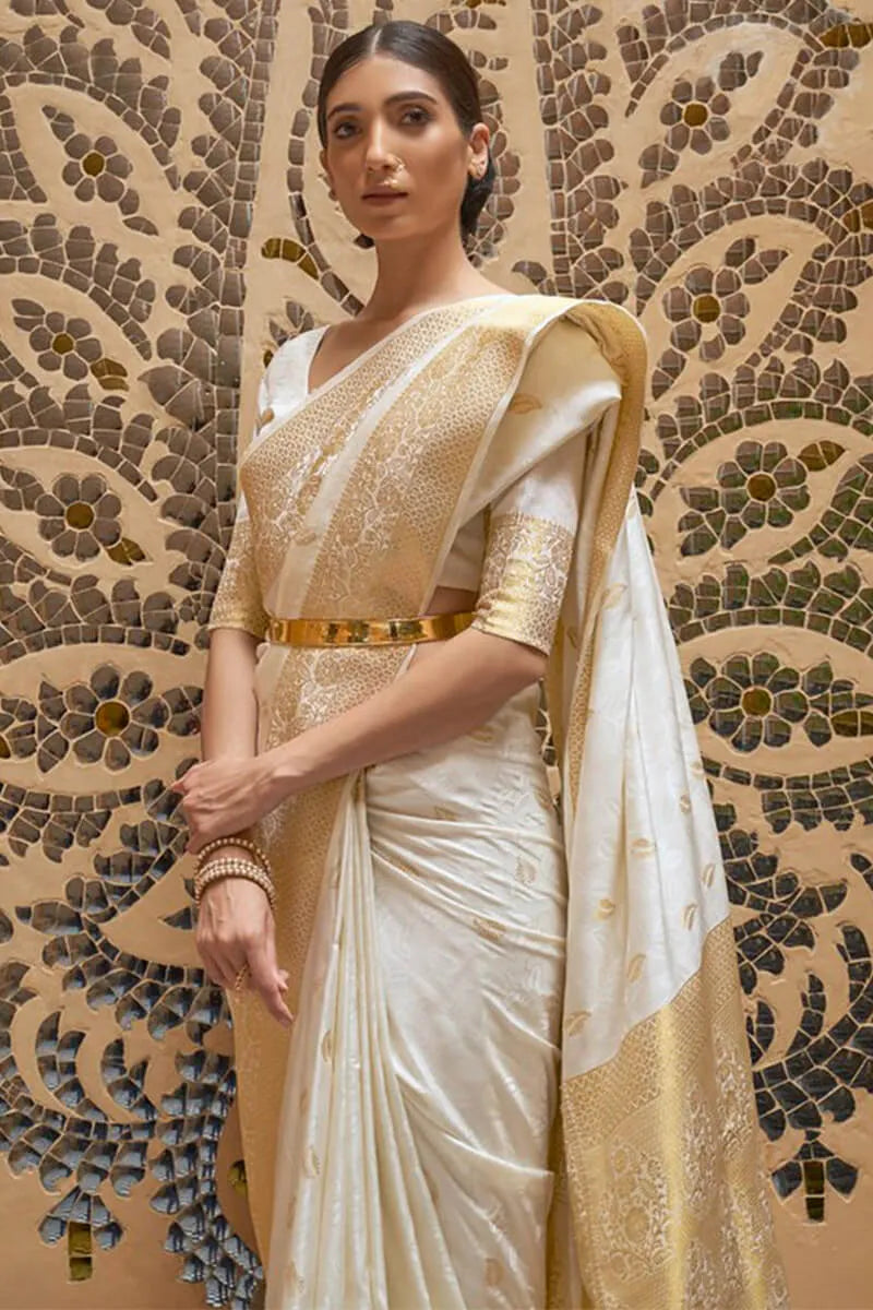 Woman wearing a traditional saree with intricate patterns in the background